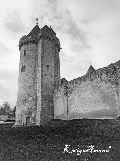 Le Donjon De Blandy Les Tours