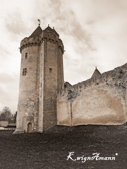 Le Donjon De Blandy Les Tours