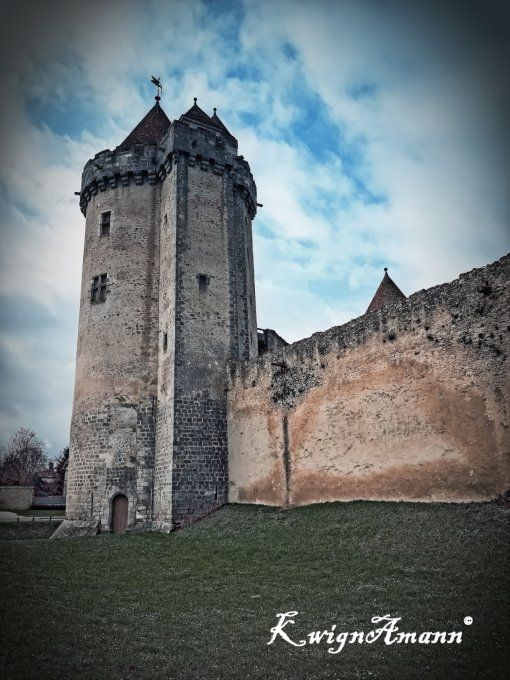 Le Donjon De Blandy Les Tours