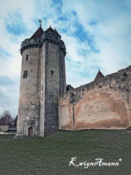 Le Donjon De Blandy Les Tours