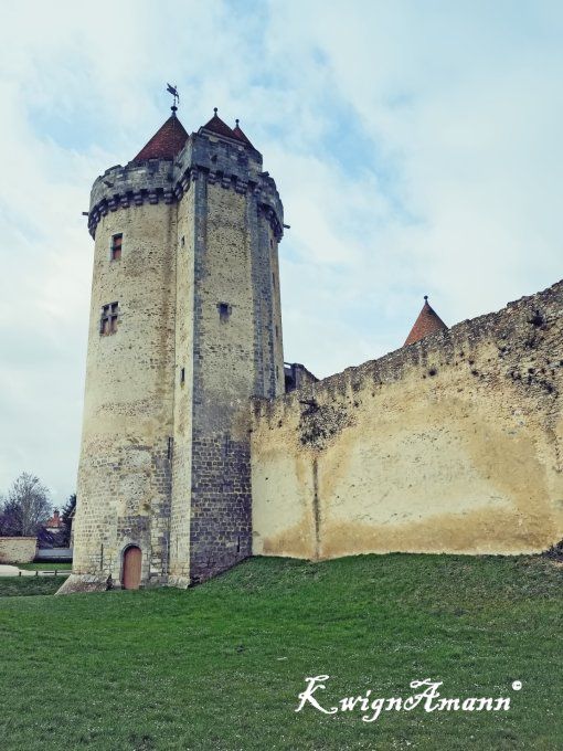 Le Donjon De Blandy Les Tours