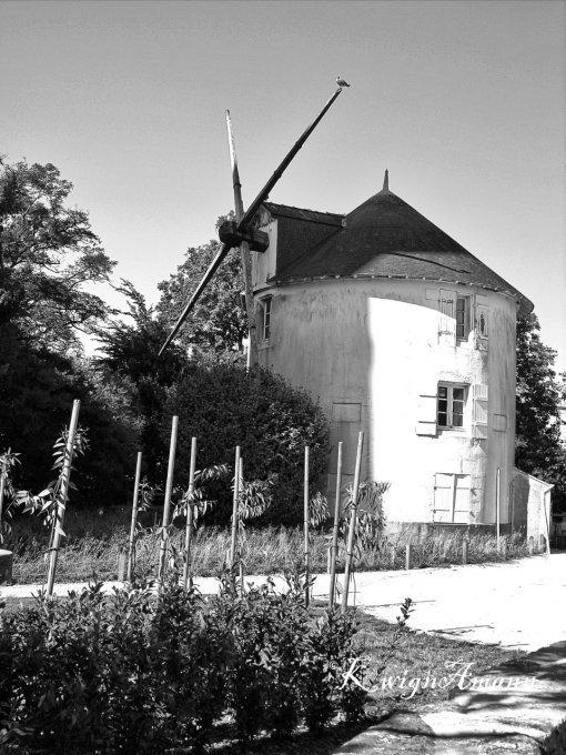 Le Moulin