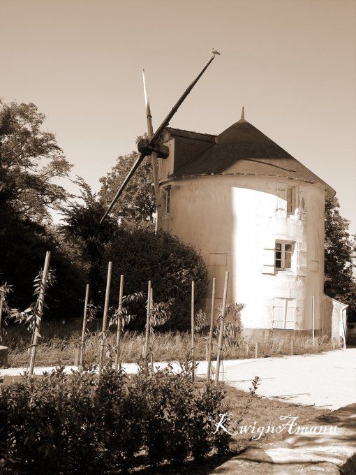 Le Moulin