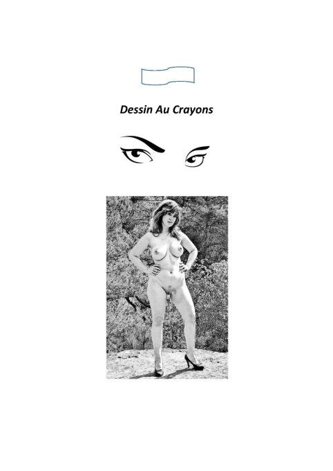 Les Dessins D'Une Nudiste-Pencil Drawing