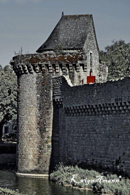 La Forteresse De Guérande